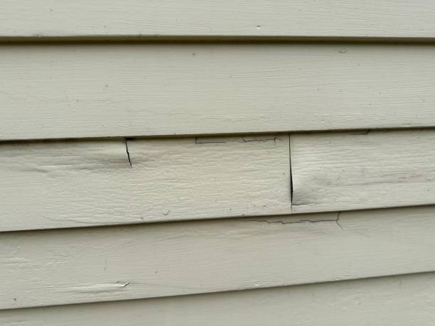 Best Residential Vinyl Siding Installation  in East Providence, RI